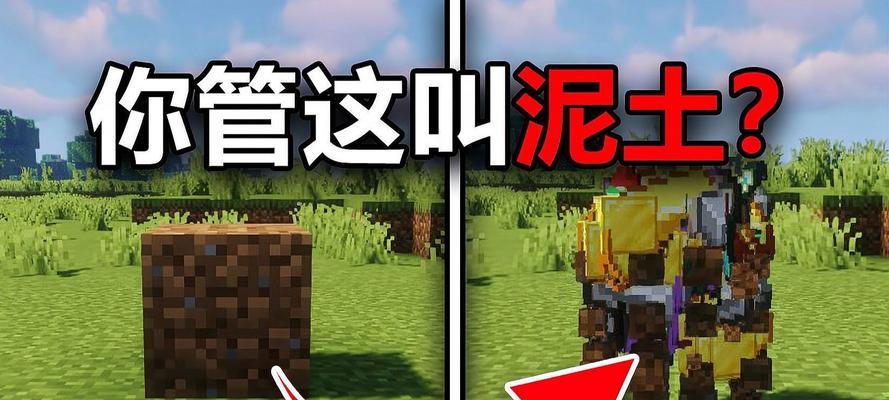 在《我的世界》中如何找到泥土？  第1张