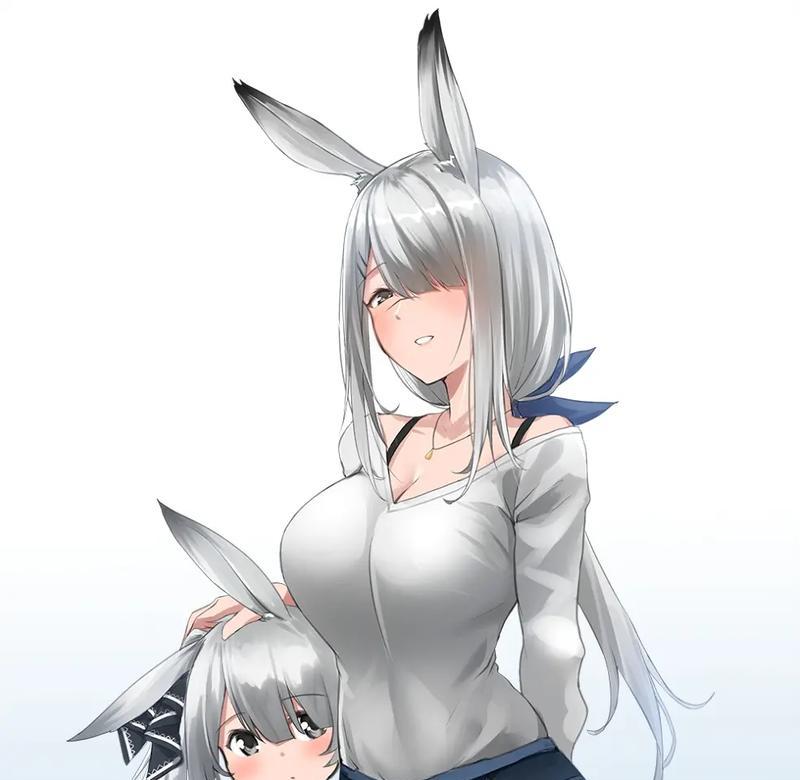 《明日方舟》霜星打法攻略（让你的队伍更加强大）  第2张