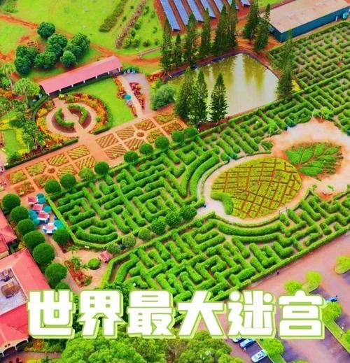 菠萝维度世界入口在哪里？如何前往？  第2张