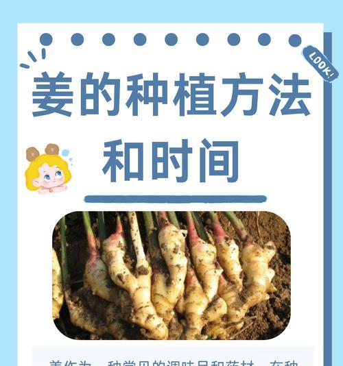 我的世界中生姜种植方法是什么？  第1张