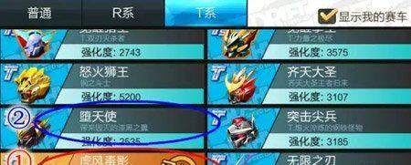 《新大主宰》游戏中R阵容及培养方向详解（打造无敌战力）  第2张