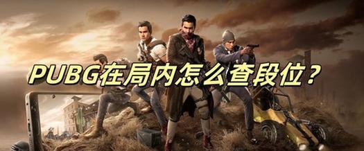 绝地求生队友段位如何识别？  第1张