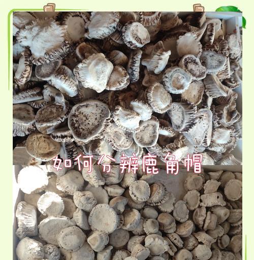 绝地求生中头饰鹿角如何获得？获取鹿角的途径有哪些？  第1张
