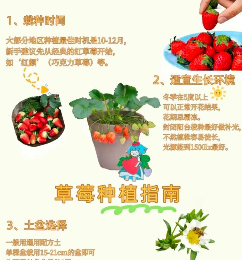 《以小森生活》草莓种植技巧(学会这些技巧) 第1张 《以小森生活》草莓种植技巧(学会这些技巧) 第1张