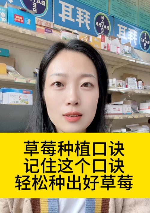 《以小森生活》草莓种植技巧(学会这些技巧) 第3张 《以小森生活》草莓种植技巧(学会这些技巧) 第3张