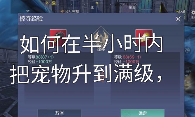 问道宠物未满110级如何进行飞升？  第1张