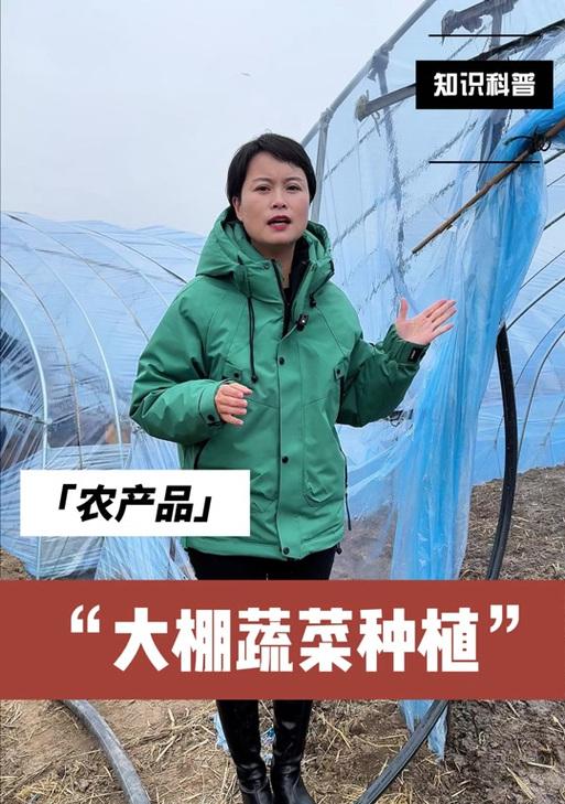 龙之谷中种植蔬菜的技巧？  第2张