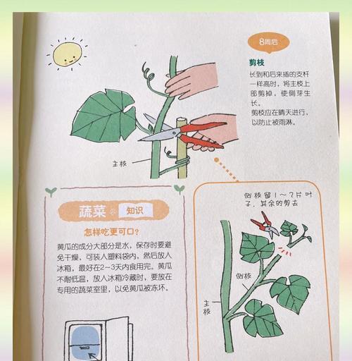 龙之谷中种植蔬菜的技巧？  第1张