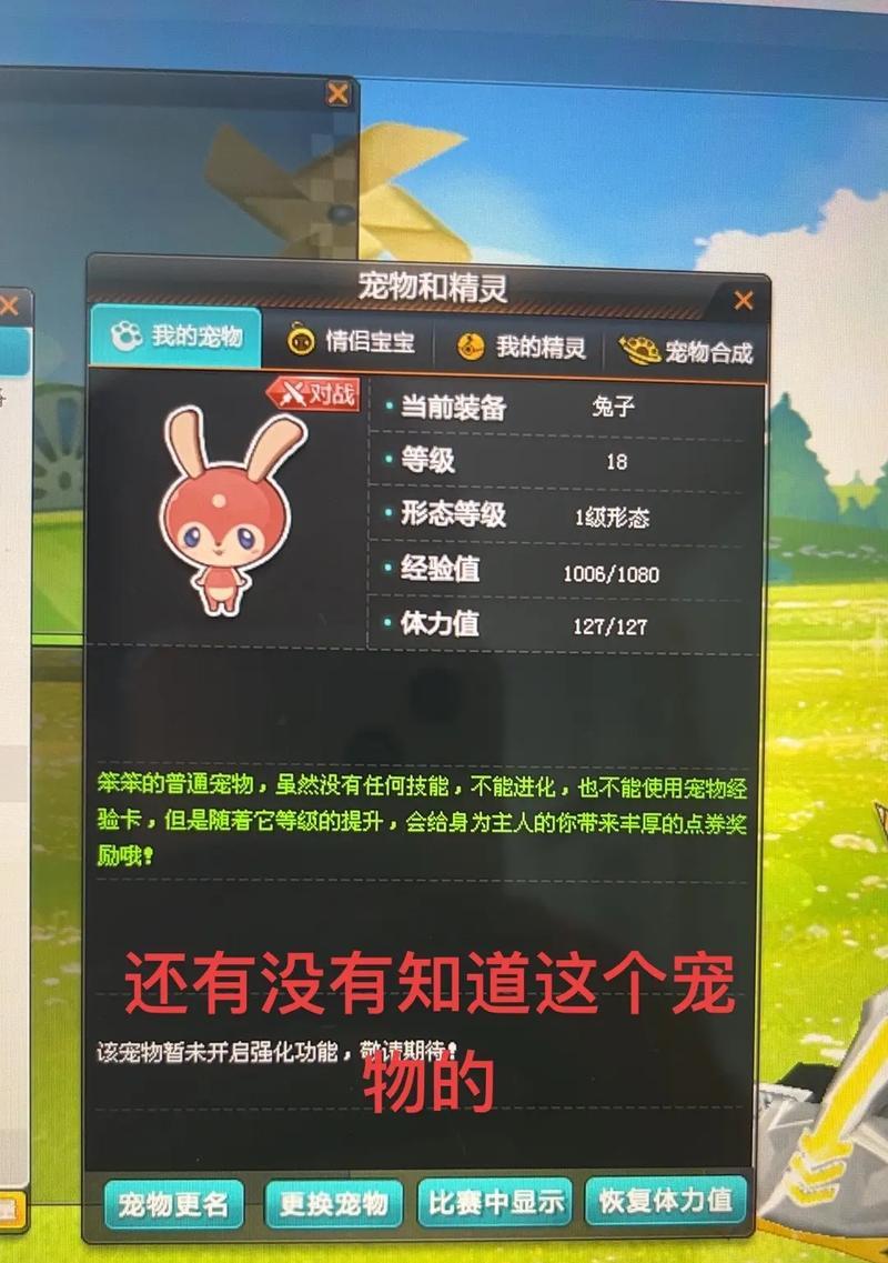 《天天风之旅》游戏宠物五彩祥云满级攻略（花费）  第2张