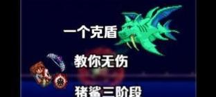 泰拉瑞亚猪鲨打法攻略(学习如何击败泰拉瑞亚中的强大Boss) 第2张 泰拉瑞亚猪鲨打法攻略(学习如何击败泰拉瑞亚中的强大Boss) 第2张