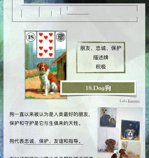 狮子狗需要什么卡才能使用？狮子狗卡牌的获取方式是什么？  第2张