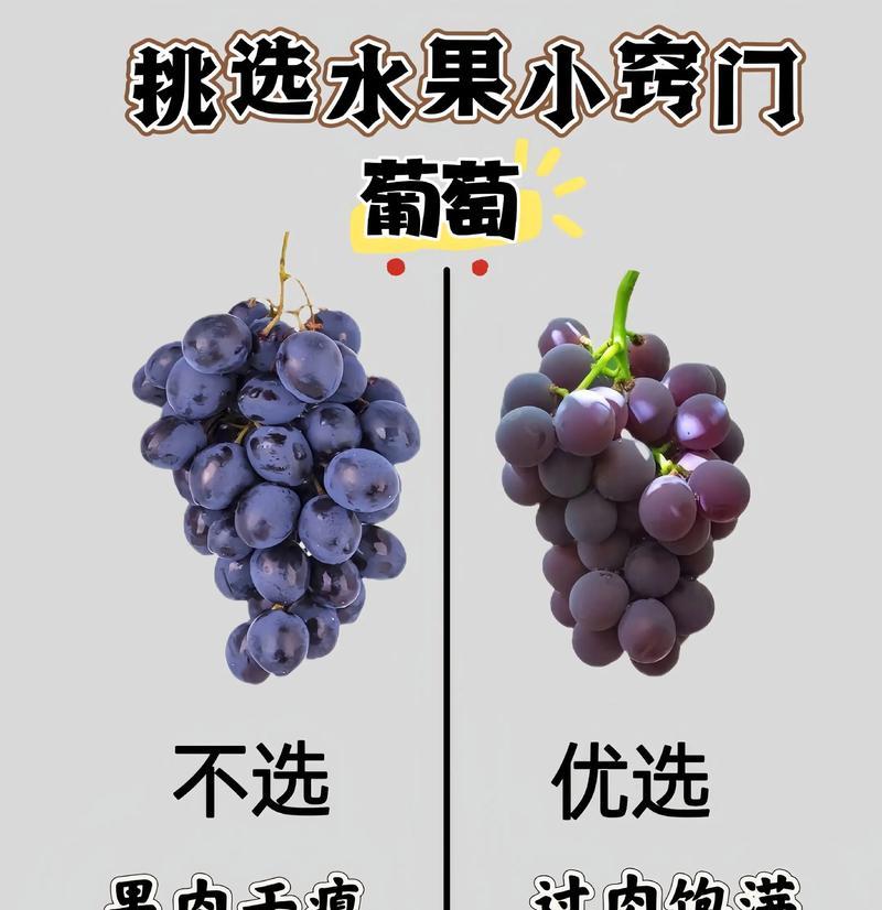 水果神兵的选择标准是什么？选择时应注意哪些因素？  第1张
