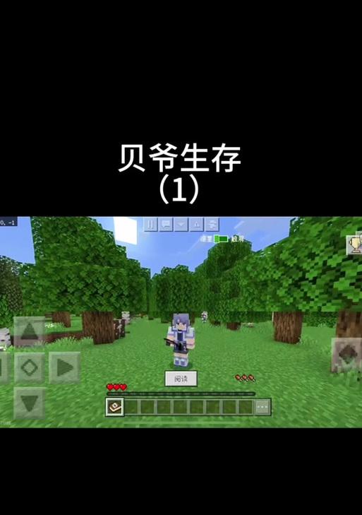 我的世界中花丛放置的正确位置在哪里? 第1张 我的世界中花丛放置的正确位置在哪里? 第1张