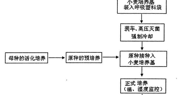 驯化村民的步骤是什么? 第3张 驯化村民的步骤是什么? 第3张
