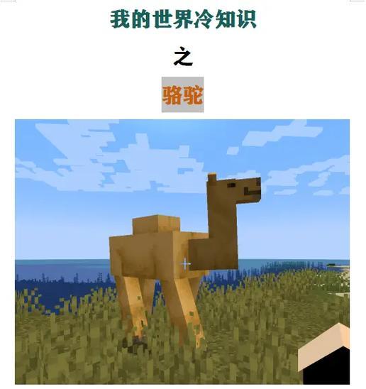 在Minecraft中获得羊驼的方法是什么?羊驼有何用途? 第2张 在Minecraft中获得羊驼的方法是什么?羊驼有何用途? 第2张