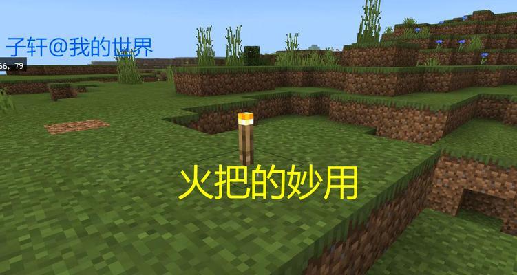 我的世界火把使用技巧有哪些？如何有效利用火把照明？  第2张
